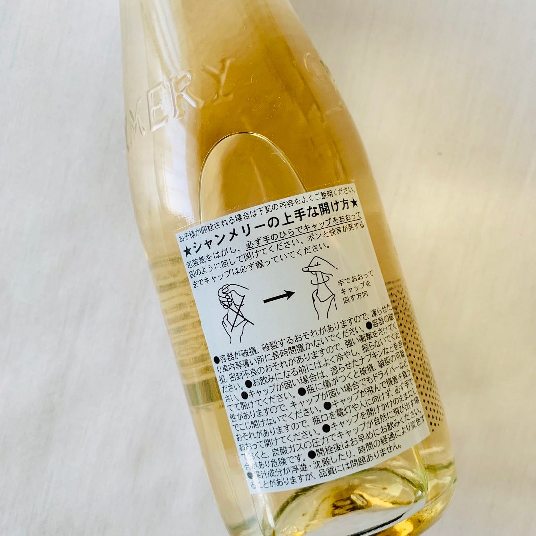 THE SOURCE magazine 非売品 シャンメリー THE SOURCE magazine 非売品